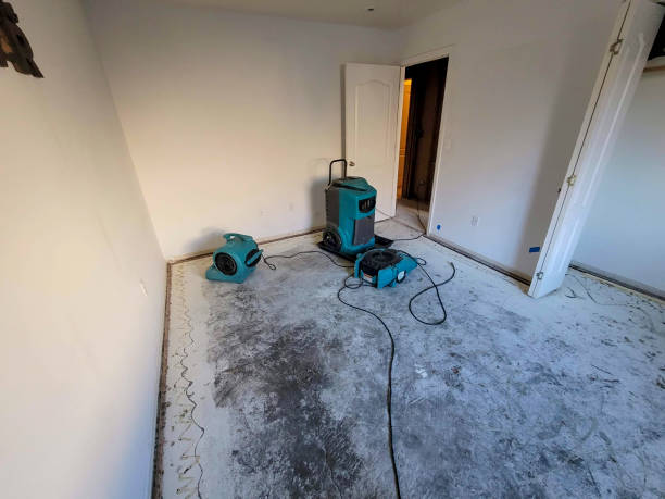 Best Flood restoration services  in Glenvar Heights, FL