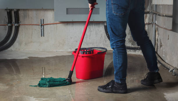 Best Water damage restoration near me  in Glenvar Heights, FL