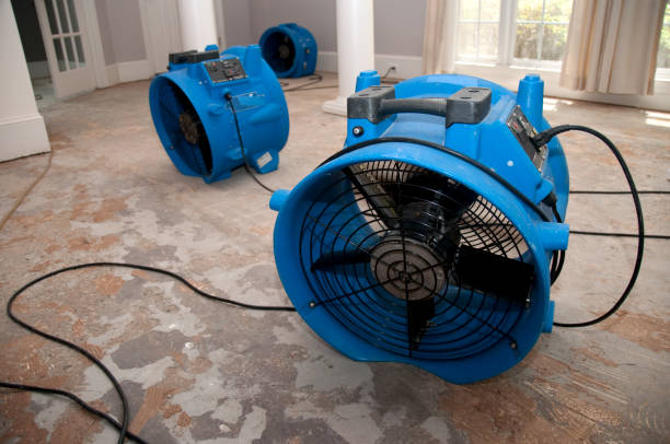 Best 24/7 water damage repair  in Glenvar Heights, FL