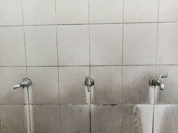 Best Carpet water damage restoration  in Glenvar Heights, FL
