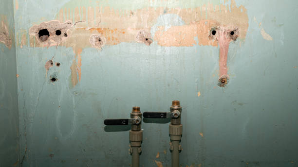 Best Water damage cleanup near me  in Glenvar Heights, FL