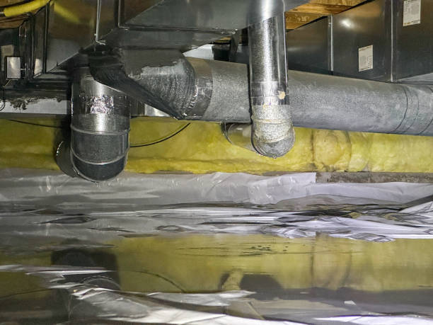 Best Mold removal after water damage  in Glenvar Heights, FL