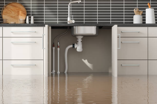 Best Fire Damage Restoration  in Glenvar Heights, FL