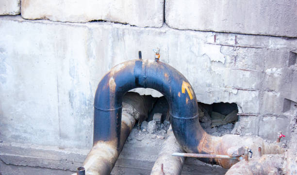 Best 24-hour water damage restoration  in Glenvar Heights, FL