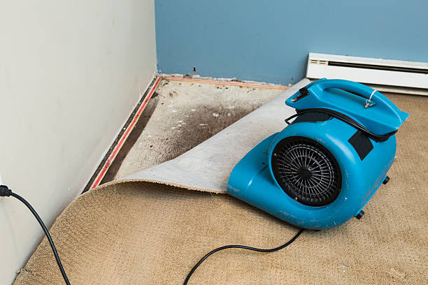 Best Flooded house restoration  in Glenvar Heights, FL
